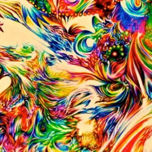 Meet your Posher, Lynn